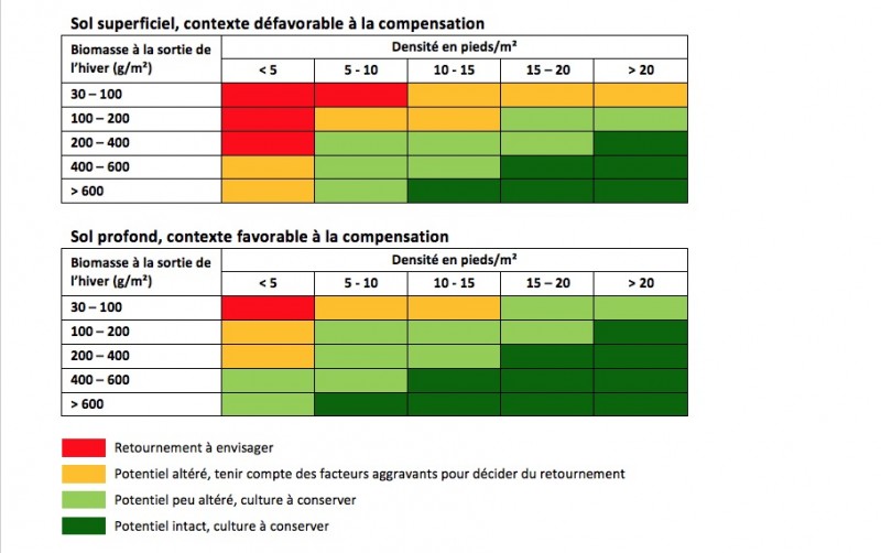 Colza-retournement%20sol.jpg