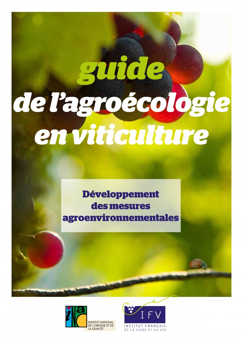 guide-agroecologie-viticulture.jpg