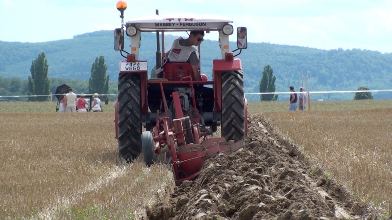 Tracteur en action 5.jpg