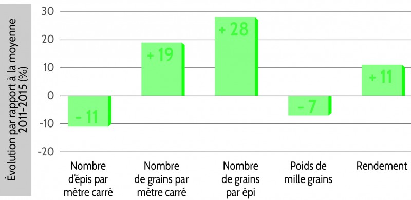 Blé-Graph1.jpg