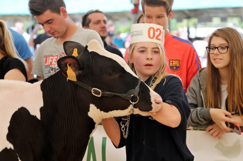 Festival de l'Elevage - 123 - Concours prim'holste