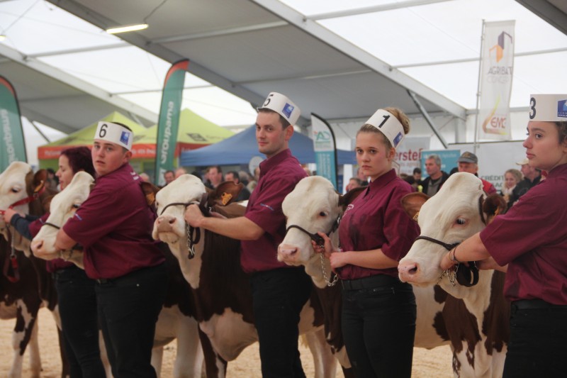 20181028%20foire%20habsheim%20montbelliarde%2002.J