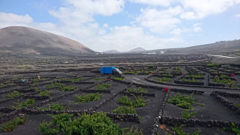 Lanzarote