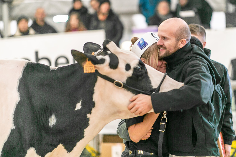 concours-habsheim-holstein-2018_51.jpg