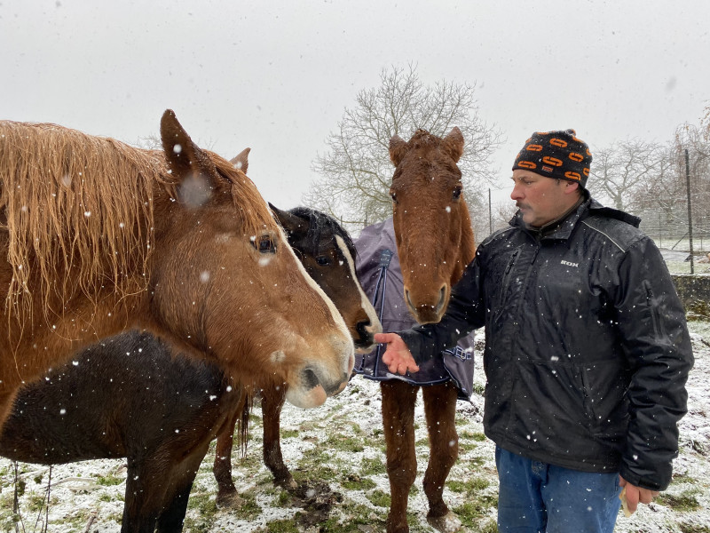 Chevaux-JFHuckert.jpg