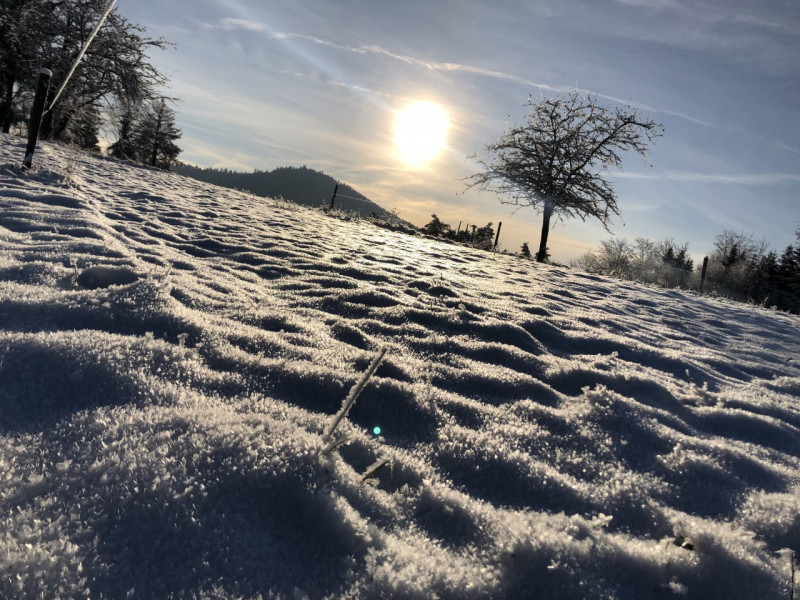 decembre-22thumbnail_IMG_7778.jpg