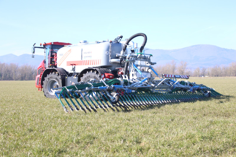 HOLMER_8333.JPG