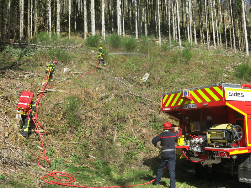 Feu-forêts-IMG_2657.JPG