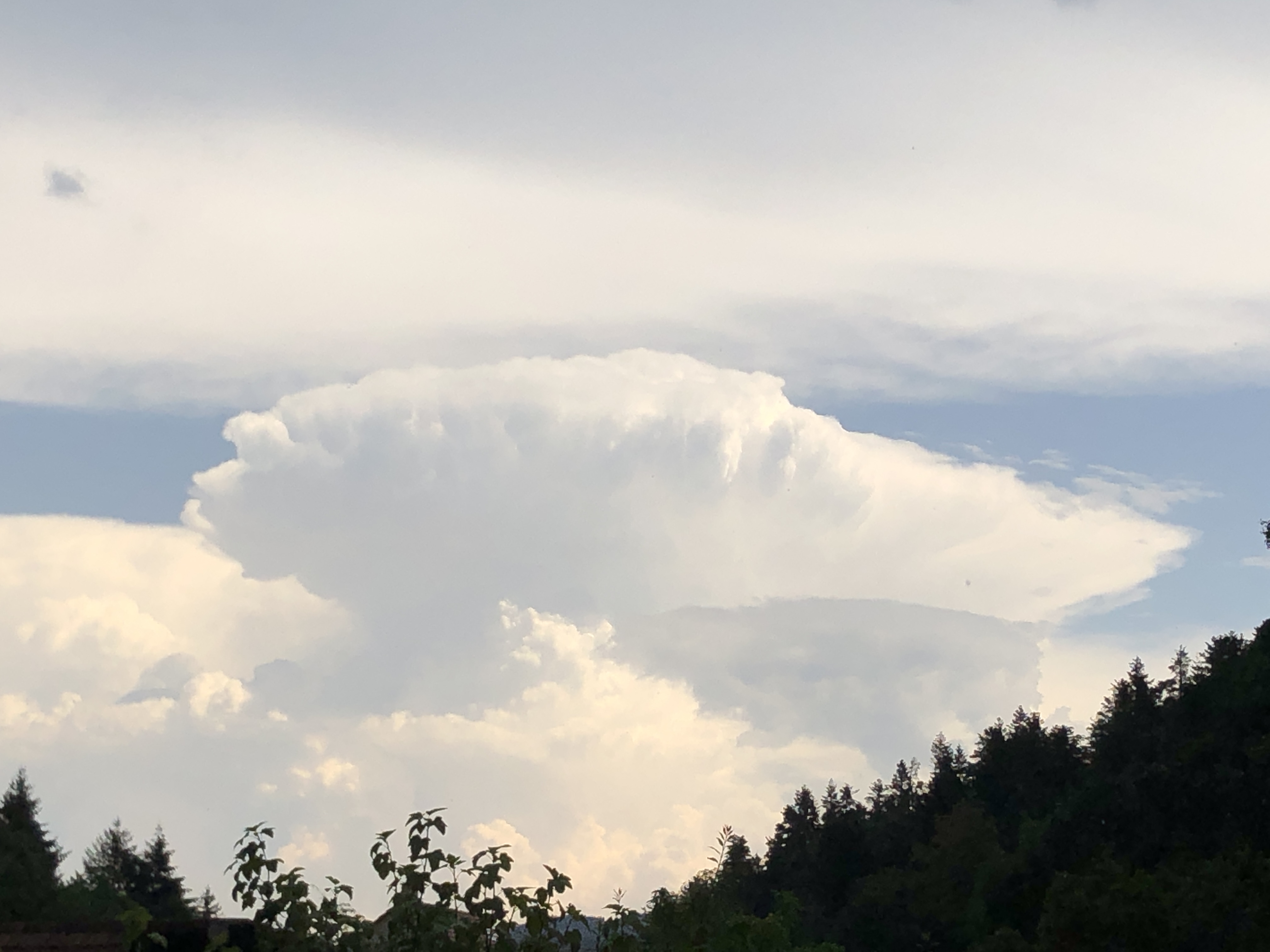 Cumulonimbus sur la Forêt Noire, juin 2020