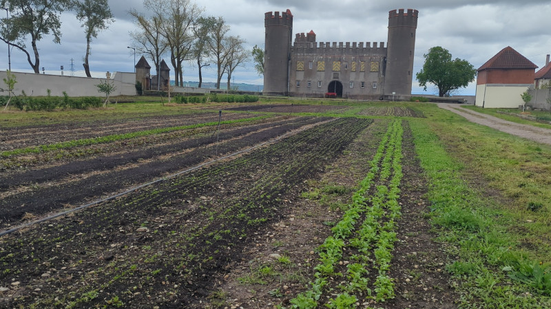 Domaine de Hombourg