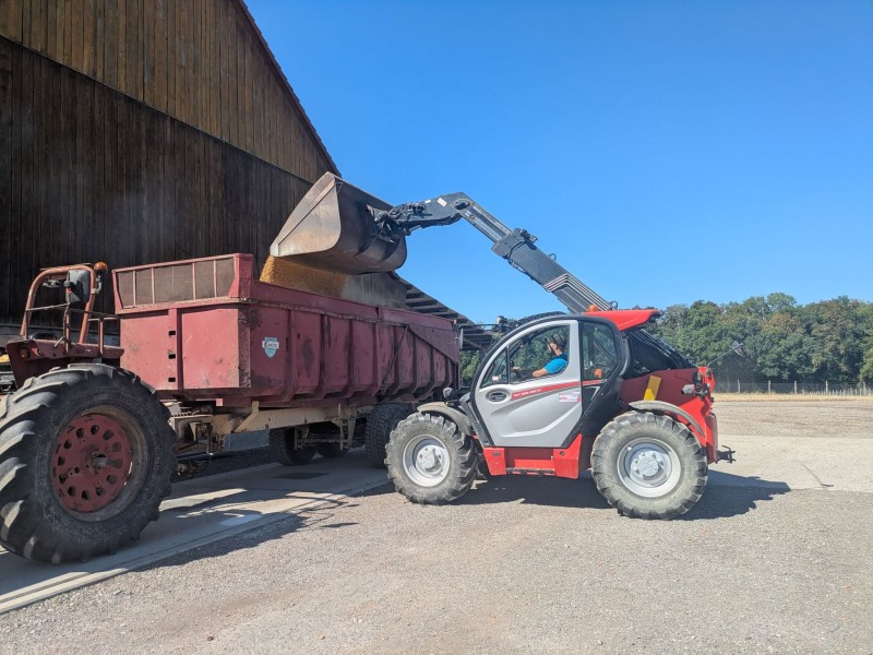 walch 140926 01.JPg