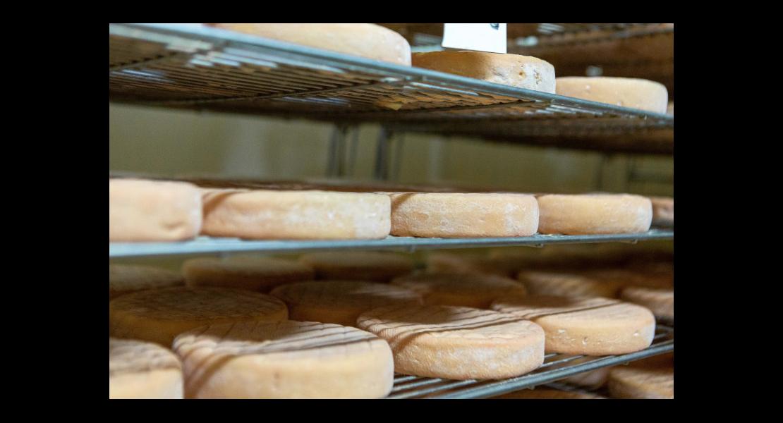 crise-covid-fromages-fermiers_02.jpg