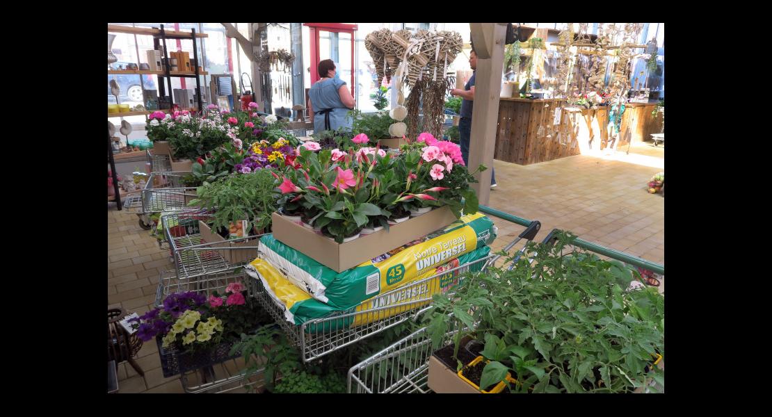 Horticulture Schwartz - 02.jpg