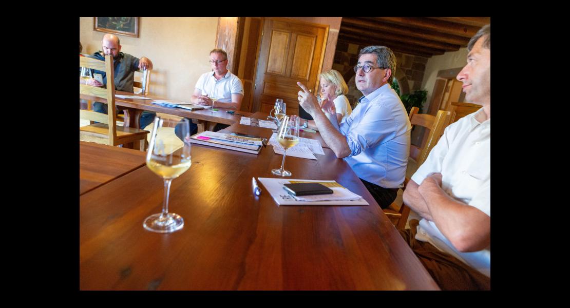 region-viticulture-covid_01.jpg