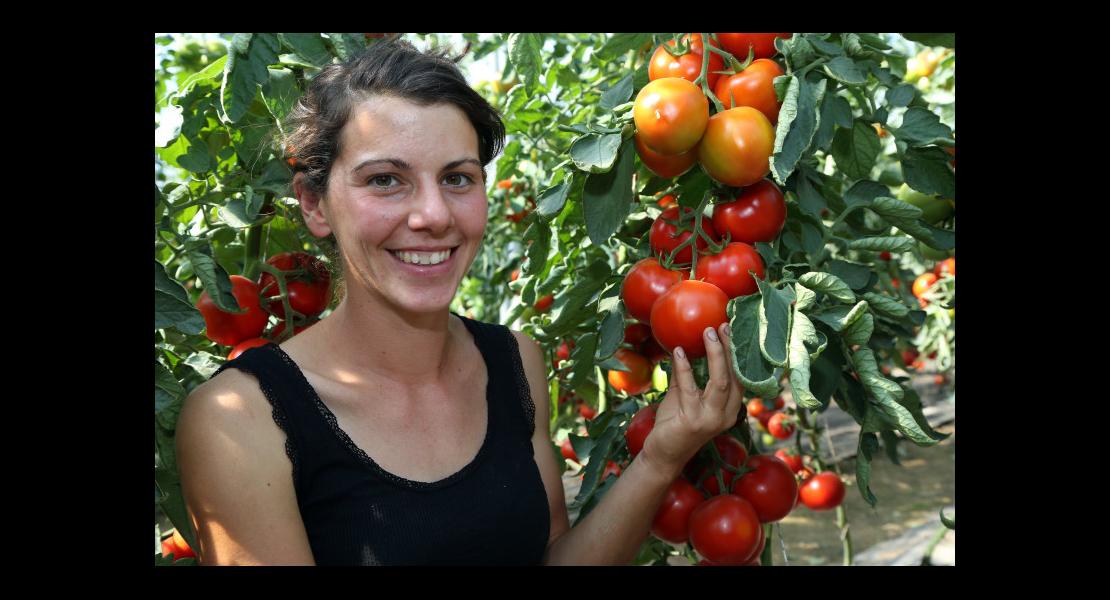 Libre cueillette légumes - 02 - Devivier Laure.jpg