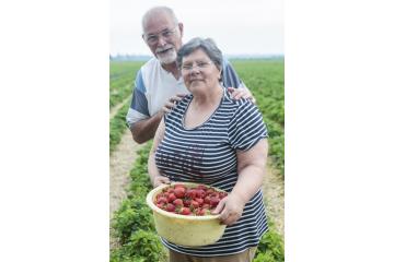 lancement-fraises-2016_02.jpg
