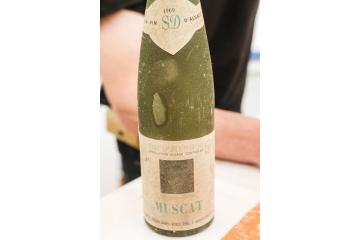 foire-aux-vins-ammerschwihr_03.jpg