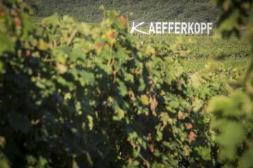 degustation_kaefferkopf-2016-02.jpg