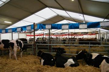 Habsheim, concours