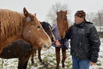 Chevaux-JFHuckert.jpg