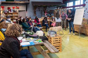 agri-tour68_pommeraie.jpg
