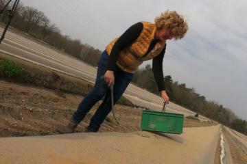 Asperge-Alsace-2022-IMG_7356.JPG