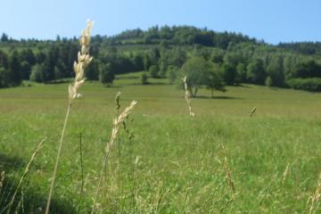 CP-CAA-Prairie-IMG_8025.JPG