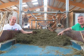 EARL-Buebelskraut-IMG_8141.JPG