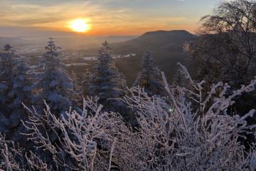 decembre-22thumbnail_IMG_7814.jpg
