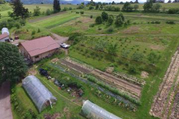 Drone Jardins de Bernadette 190620-1.JPG