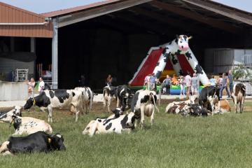 Alsace-lait - Fête d'été - 01.jpg