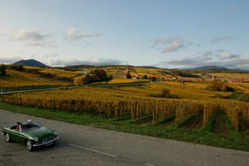 Couleurs d'automne