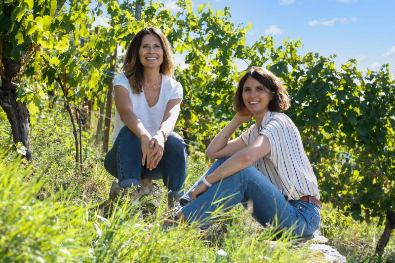 domaine-josmeyer_01.JPG