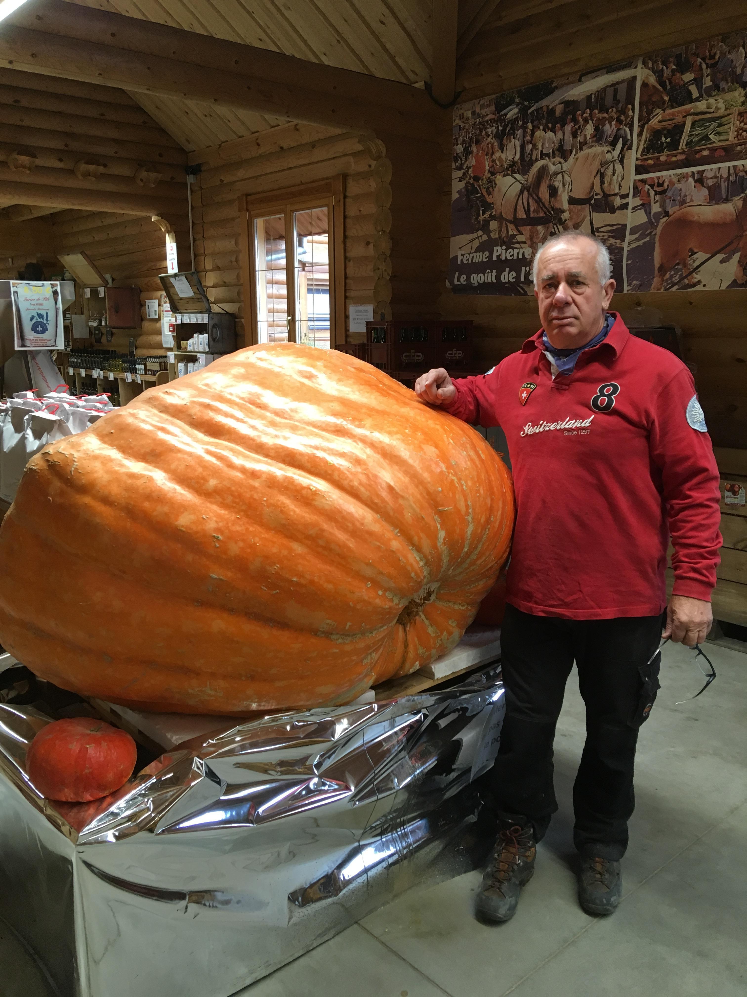 Pierre-Maurer-necrologie-dorlisheim-maraichage-citrouille-2025.JPG