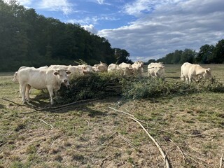 ferme Hoeffel 2026 1